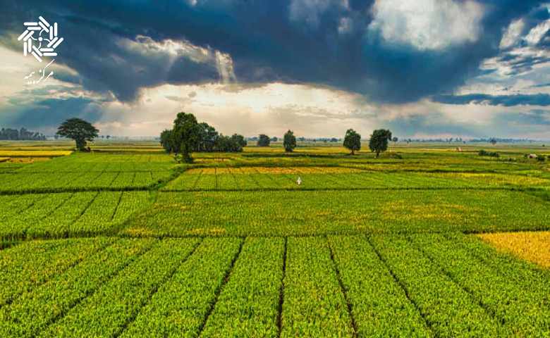 انواع بیمه کشاورزی